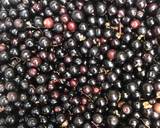 Confettura di Sambuco