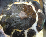 Foto del paso 4 de la receta: Zapallo cabutia relleno
