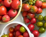 Une image de l'étape 1 de 🌱 Sauce tomate maison en conserve.