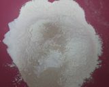 عکس مرحله 1 از دستور نان ساجی (نان ساج)