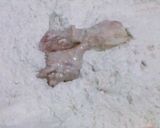 Foto langkah ke 2 dari resep Ayam ala kentucky 1.