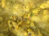 Ayam masak kunyit simple