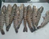 Foto langkah ke 1 dari resep Udang bakar.