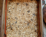 Foto del paso 3 de la receta: Granola casera sin azúcar