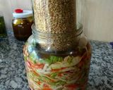 Foto del paso 11 de la receta: Chucrut fermentado, el posta!