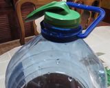 Foto del paso 3 de la receta: Hidromiel