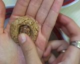 Foto del paso 3 de la receta: Galletitas integrales de coco rellenas con laddubar