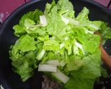 รูปขั้นตอนการทำที่ 2 ของ ผัดเส้นบุกสาหร่าย,ผักกาดเขียว,หมูสับ - คีโต