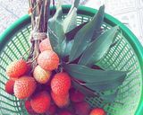 A picture of step 2 of Fresh Fruit Salad🥗.