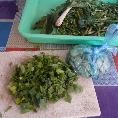 Langkah 5