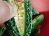 Stuffed Bitter Gourd