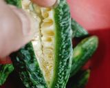 A picture of step 1 of Stuffed Bitter Gourd.