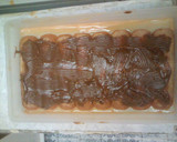 Foto del paso 2 de la receta: Postre de vainillas, dulce de leche y flan