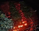Lamb Souvlaki with grilled vegetables salad and tzatziki sauce recipe step 8 photo