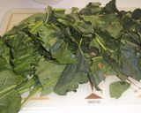 Foto del paso 3 de la receta Empanada lonchaes