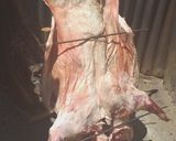 Foto del paso 12 de la receta: Cordero a la asador (paso a paso)
