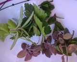 Foto del paso 2 de la receta: Berenjena al rescoldo, con yuyitos de la huerta