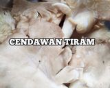 Gambar langkah 1 resipi Cendawan Tiram Ketuk Serai.