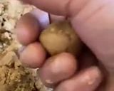 तिल गुड लड्डू (१५ मिनिट में बनने वाले तिल गुड लड्डू) (Til gud laddu recipe in Hindi) रेसिपी चरण 5 फोटो