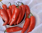 A picture of step 1 of Moti Lal Mirch Ka Achaar.