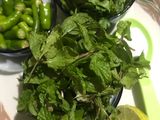 ફુદીના ની ચટણી (Pudina Chutney Recipe In Gujarati)