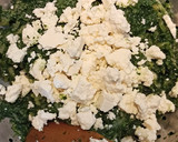 Foto del paso 4 de la receta: Canelones con relleno de espinaca y salsa filetto