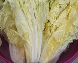 Foto langkah ke 1 dari resep #107 Kimchi.
