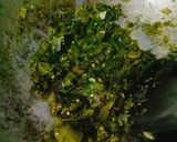 Foto langkah ke 3 dari resep Cumi balado sambal ijo.