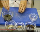 海鮮蕃茄青醬起士的食譜步驟6照片