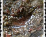 Foto langkah ke 9 dari resep Pisang Rebus Santan + Dabu Dabu Roa (Manado).