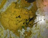 Foto langkah ke 3 dari resep Ayam goreng lengkuas.