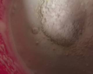 Cendol Dessert Box (tanpa whipping cream) - Step 3