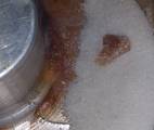 1 Budín De Pan