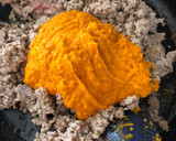 Foto del paso 5 de la receta: Salsa boloñesa