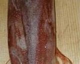 A picture of step 1 of Let's Make Delicious Squid Sashimi!.