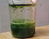 Foto langkah ke 1 dari resep 165. Es Cendol Homemade.