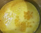 Foto del passaggio 9 della ricetta Arancini tipo catanesi