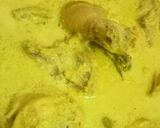 Foto langkah ke 9 dari resep Opor Ayam.