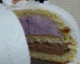 A picture of step 22 of Double Mousse Dome Cake (Zuccotto Cake).