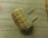 A picture of step 5 of Fragrant Shiso, Chikuwa Fish Stick and Nori Seaweed Fried Morsels.