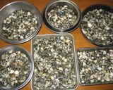 A picture of step 9 of Pasta with Manila Clams.