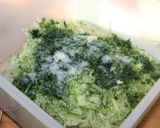 A picture of step 1 of Bulgarian Yogurt Soup (Tarator).