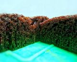 Foto langkah ke 8 dari resep 258. Bolu Karamel / Sarang Semut.