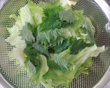 A picture of step 6 of Fresh Spring Rolls Style Salad.