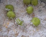 Foto langkah ke 4 dari resep Klepon Pandan.