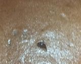 A picture of step 2 of Chocolate Swiss Roll.