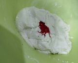Foto langkah ke 5 dari resep Wedang Ronde Merah Putih.