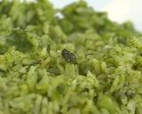 Foto del paso 2 de la receta: Arroz verde