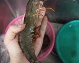 Hình bước làm 2 của món Canh khoai tím nấu tôm bằm cho bạn nhỏ
