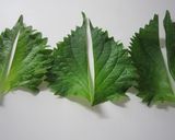 A picture of step 1 of Refreshing Chikuwa Rolls with Umeboshi and Shiso Leaves.
